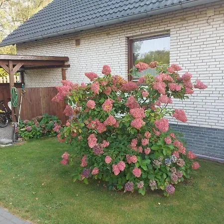 Schicke Jara Mit Saunaoption Hambuhren