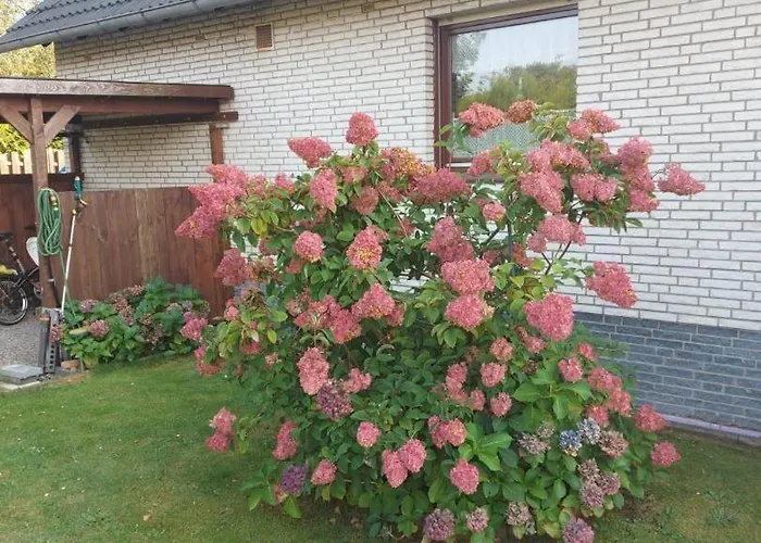 Schicke Jara Mit Saunaoption Hambühren